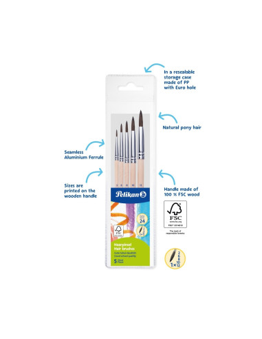 701549,Set 5 pensule starter (seria 24: 2, 4, 8, 10, 12), prezentare pe blister