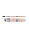 701549,Set 5 pensule starter (seria 24: 2, 4, 8, 10, 12), prezentare pe blister