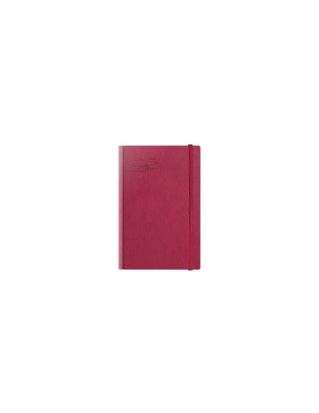 2026-9498030,Agenda datata A5 2026 Herlitz Premium Deluxe Loreto, 352 pagini, Magenta cu margine argintie ghost
