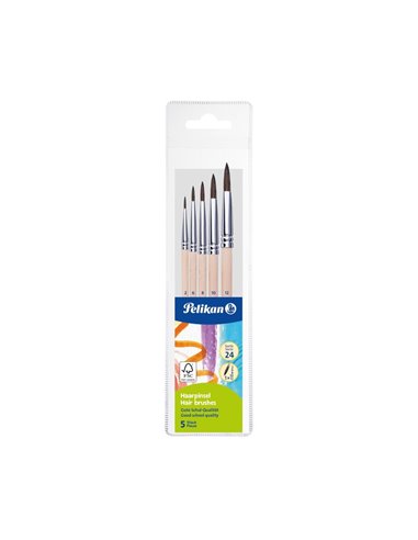 Set 5 pensule starter (seria 24: 2, 4, 8, 10, 12), prezentare pe blister