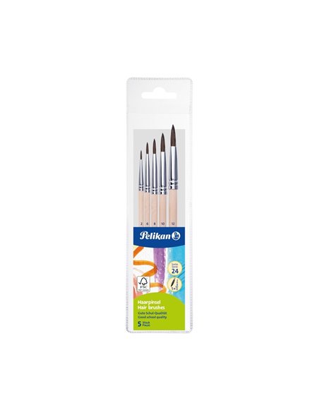 Set 5 pensule starter (seria 24: 2, 4, 8, 10, 12), prezentare pe blister