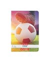 Caiet Herlitz A5, 48 file, dictando, 70 g/mp, Motiv fotbal