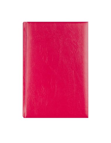 Agenda zilnica A5 2026 Basic EGO, Bordo