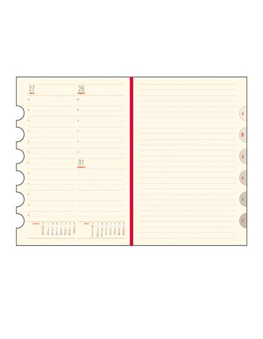 Agenda zilnica A5 2026 Office Ego, Albastru