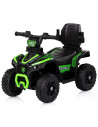 ROCATVH02503GR,Masinuta de impins Chipolino ATV cu maner green