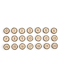 G301403,Jetoane magnetice cu numere, 21 piese, Guidecraft 2