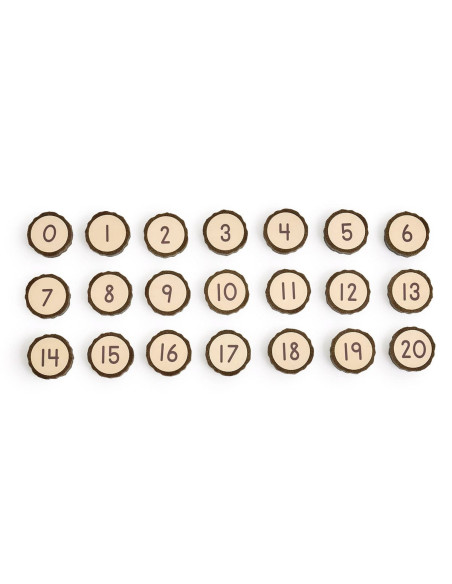 G301403,Jetoane magnetice cu numere, 21 piese, Guidecraft