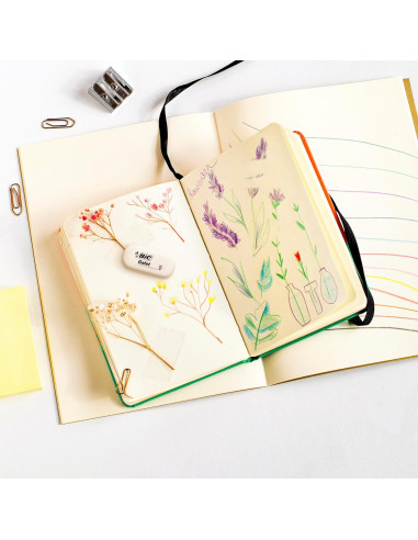 BC847720/BUC,Radiera Galet Bic