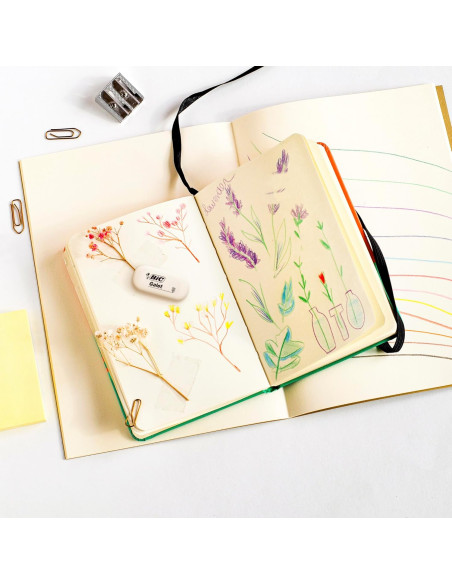 BC847720/BUC,Radiera Galet Bic