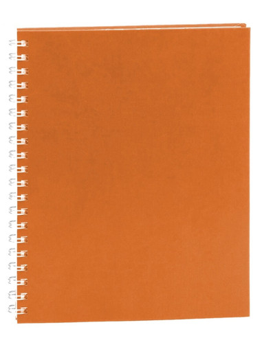 EGOPREMIERVR7,Agenda a4 nedatata portocalie 2026 premier ego