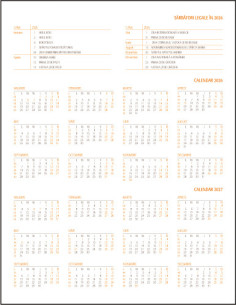 Agenda a4 saptamanala rosie... 2