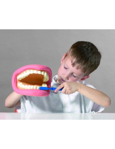 CD03083,Model demonstratie Cum se spala dantura 2