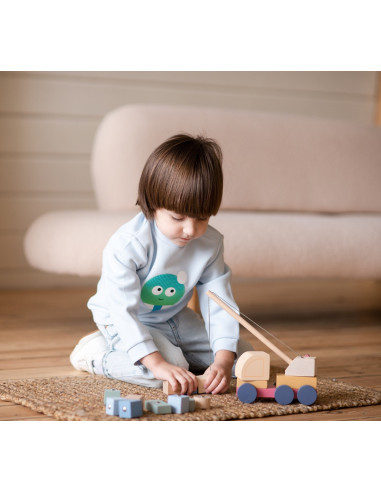 KC-15917,Jucarie din lemn, cubika, macara magnetica - pastel