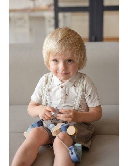 KC-16020,Joc de indemanare din lemn, cubika, pestisori - pastel