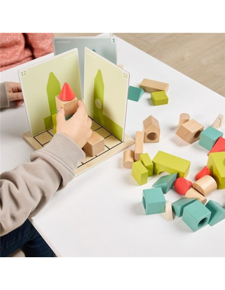 ML46000,Joc cu provocari de logica si orientare spatiala, Forme 3D si umbre, de la 5 ani