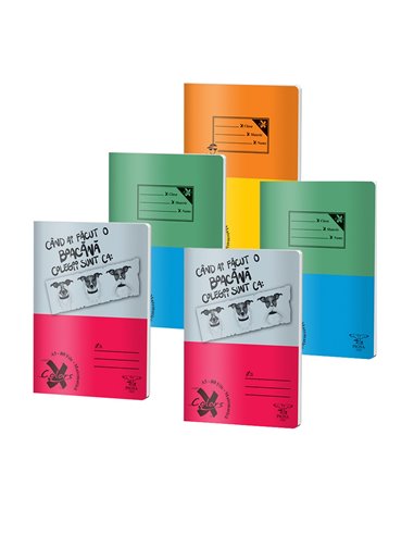 Set 5 Caiete Pigna A5, 80 file, matematica, Basic