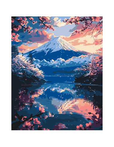 LW3464,Pictura pe numere cu sasiu, 40x50 cm, LW3464