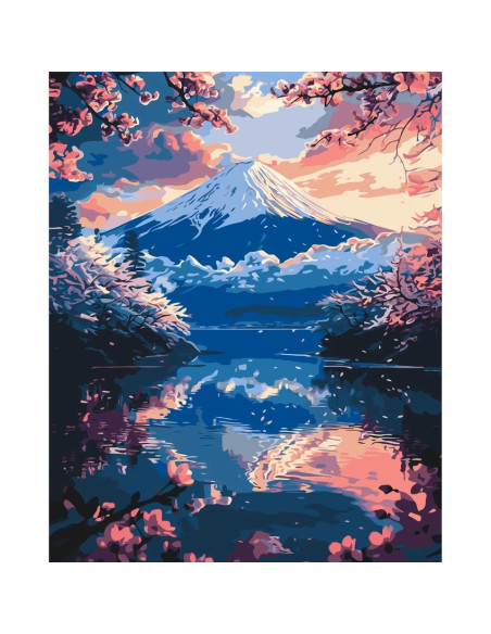 LW3464,Pictura pe numere cu sasiu, 40x50 cm, LW3464