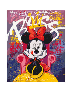 LW3457,Pictura pe numere cu sasiu, 40x50 cm, LW3457