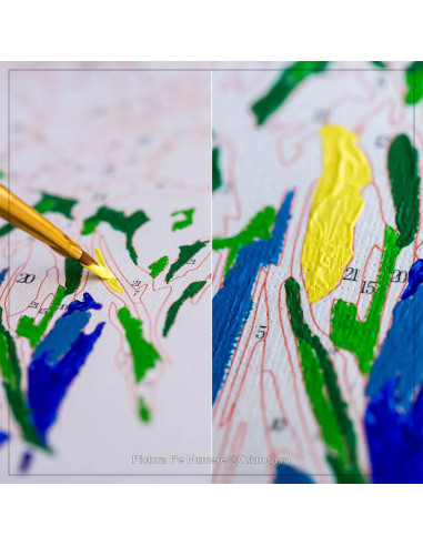 LW3453,Pictura pe numere cu sasiu si set de culori acrilice metalizate, 40x50 cm, LW3453