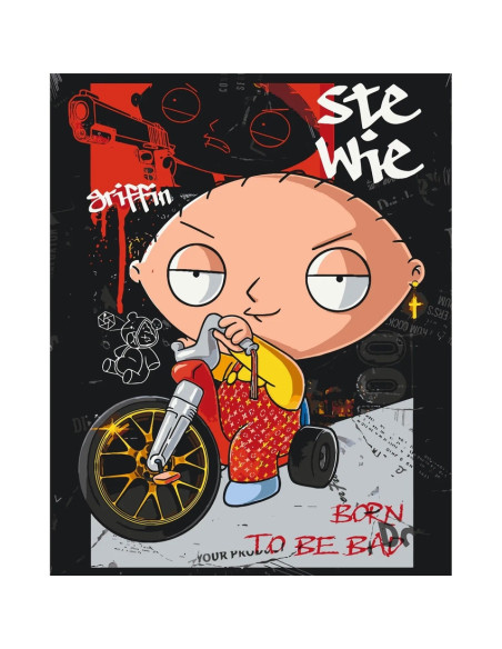 LW31279,Pictura pe numere cu sasiu, 40x50 cm, LW31279