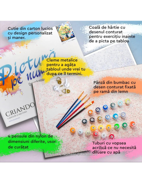 LW1073,Pictura pe numere cu sasiu, 40x50 cm, LW1073