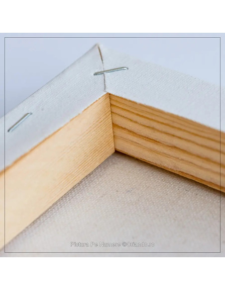 LW1073,Pictura pe numere cu sasiu, 40x50 cm, LW1073
