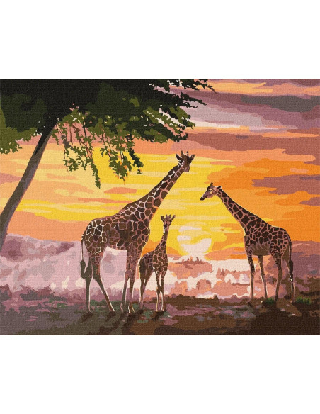 KHO4353,Pictura pe numere cu sasiu, 40x50 cm, KHO4353