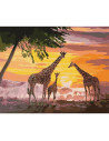 KHO4353,Pictura pe numere cu sasiu, 40x50 cm, KHO4353