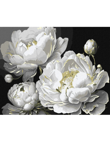 KHO3302,Pictura pe numere cu sasiu, 40x50 cm, KHO3302