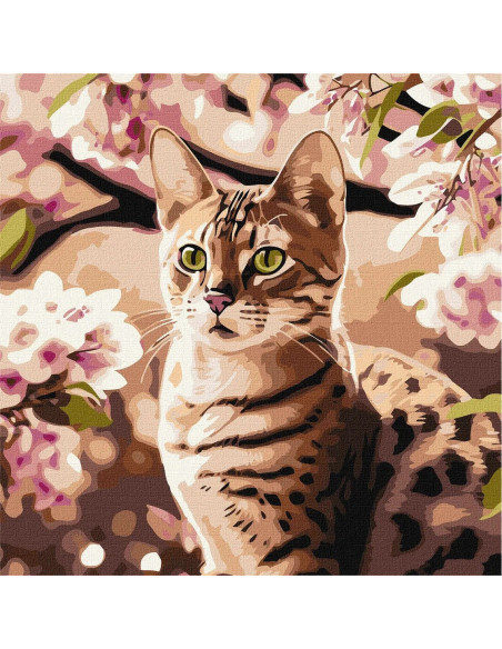 KHO6513,Pictura pe numere cu sasiu, 40x40 cm, KHO6513