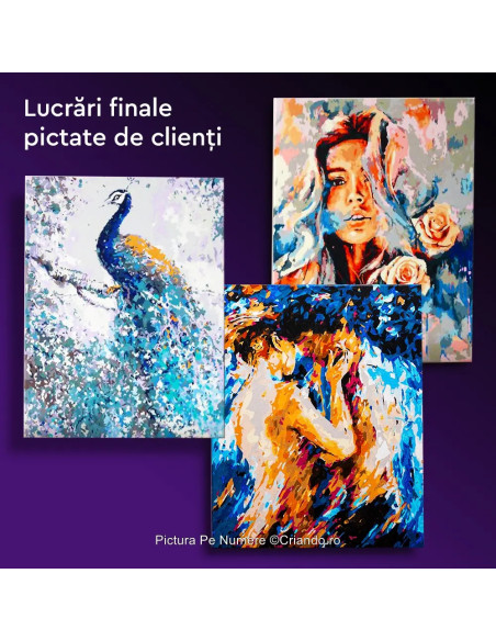 LW3119,Pictura pe numere cu sasiu, 40x50 cm, LW3119