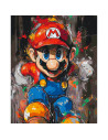LW3410,Pictura pe numere cu sasiu, 40x50 cm, LW3410