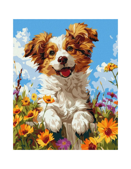KHO6624,Pictura pe numere cu sasiu, 40x50 cm, KHO6624