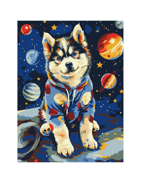 KHO6645,Pictura pe numere cu sasiu, 30x40 cm, KHO6645