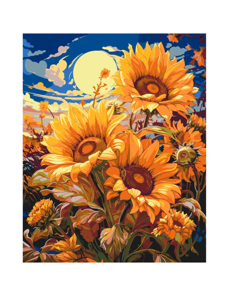 LW04070,Pictura pe numere cu sasiu, 40x50 cm, LW04070