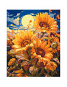 LW04070,Pictura pe numere cu sasiu, 40x50 cm, LW04070