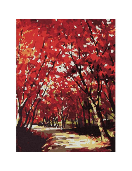 10508-AC,Pictura pe numere cu sasiu, 40x50 cm, 10508-AC