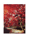 10508-AC,Pictura pe numere cu sasiu, 40x50 cm, 10508-AC