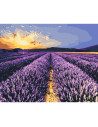 LW30610,Pictura pe numere cu sasiu, 40x50 cm, LW30610