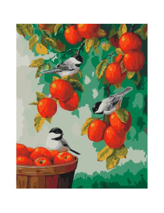 LW3026,Pictura pe numere cu sasiu, 40x50 cm, LW3026