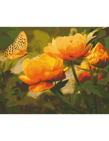 13118-AC,Pictura pe numere cu sasiu, 40x50 cm, 13118-AC