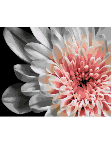 LW30500,Pictura pe numere cu sasiu, 40x50 cm, LW30500