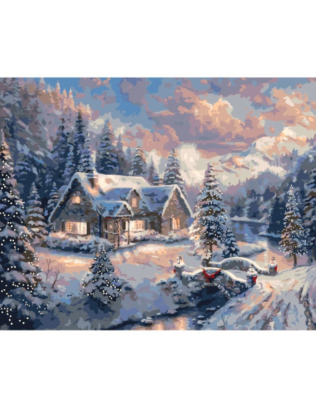 LW3253,Pictura pe numere cu sasiu, 40x50 cm, LW3253