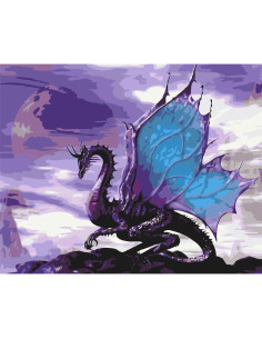 LW065,Pictura pe numere cu sasiu, 40x50 cm, LW065