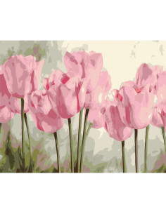 LW3017,Pictura pe numere cu sasiu, 40x50 cm, LW3017