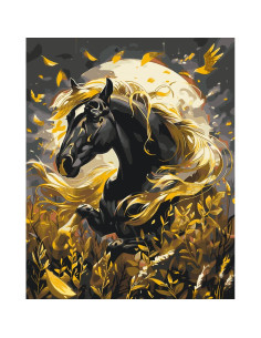 LW31200,Pictura pe numere cu sasiu, 40x50 cm, LW31200