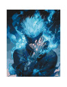LW31230,Pictura pe numere cu sasiu, 40x50 cm, LW31230