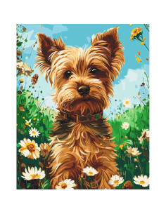 LW30470,Pictura pe numere cu sasiu, 40x50 cm, LW30470