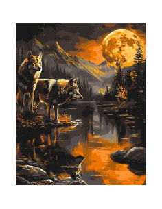 LW30780,Pictura pe numere cu sasiu, 40x50 cm, LW30780